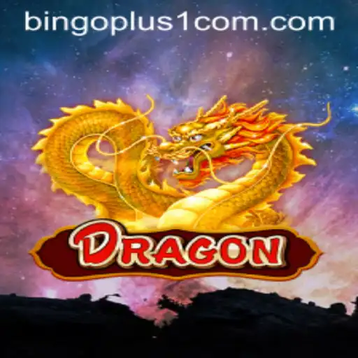 Experience the Legendary World of Dragon with Bingoplus1
